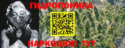 COCAINE Свободный