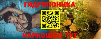 стафф Северобайкальск