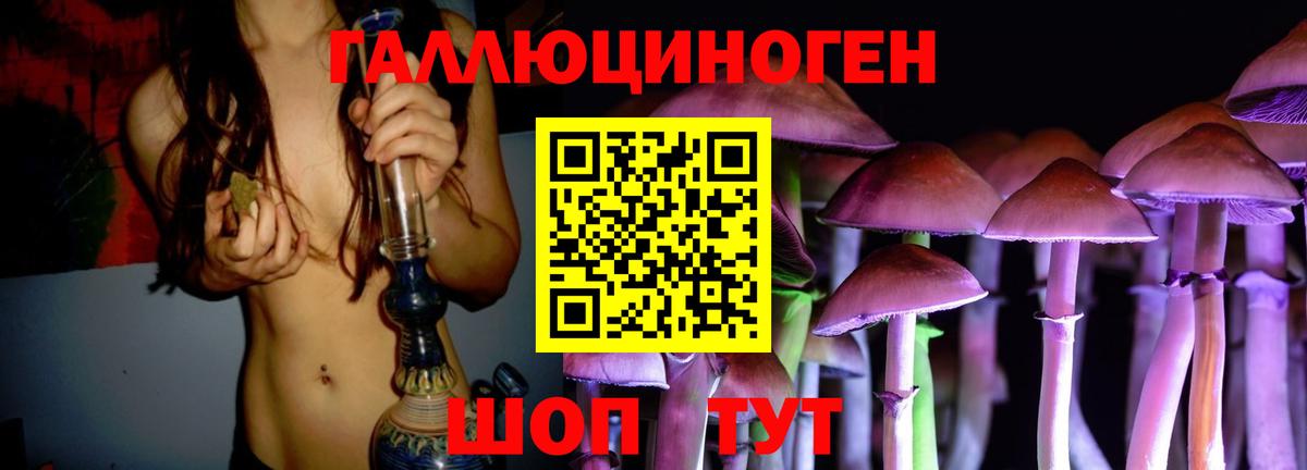 Похвистнево  Галлюциногенные грибы Psilocybine cubensis  Галлюциногенные грибы Magic Shrooms  Вход с VPN 